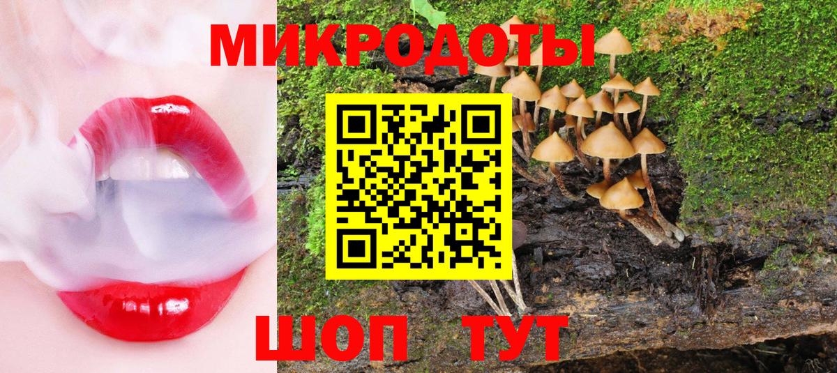Псилоцибиновые грибы GOLDEN TEACHER Кропоткин